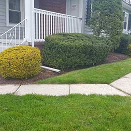 Landscaping Services