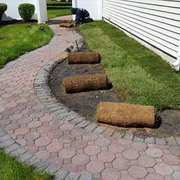 Pavers, Driveways & Walkways